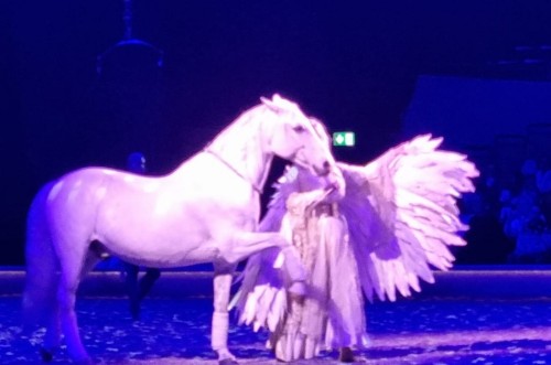 Eine Elfe führt einen Schimmel